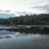 helengergely